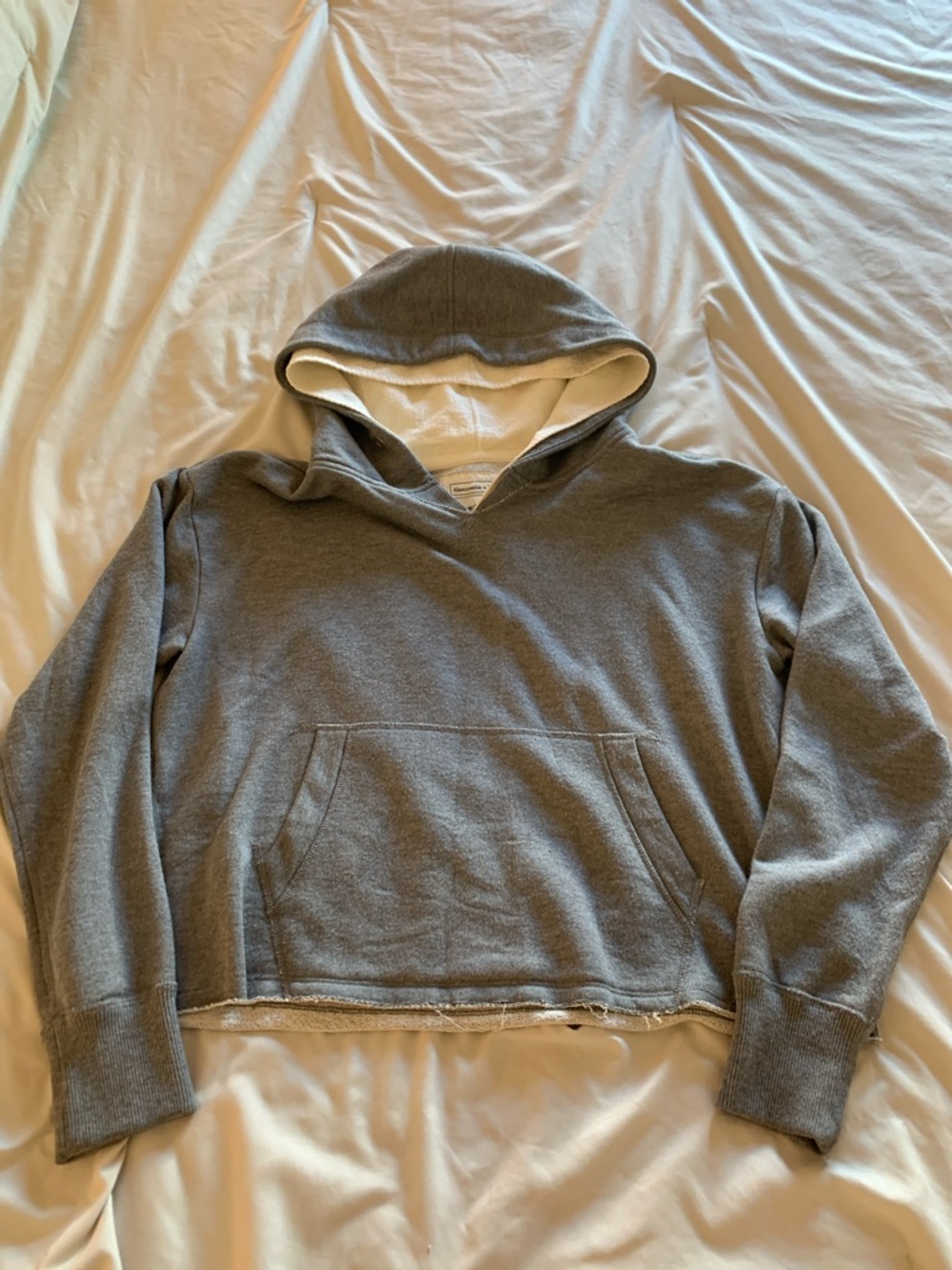 Abercrombie & Fitch Gray Hooded Sweatshirt